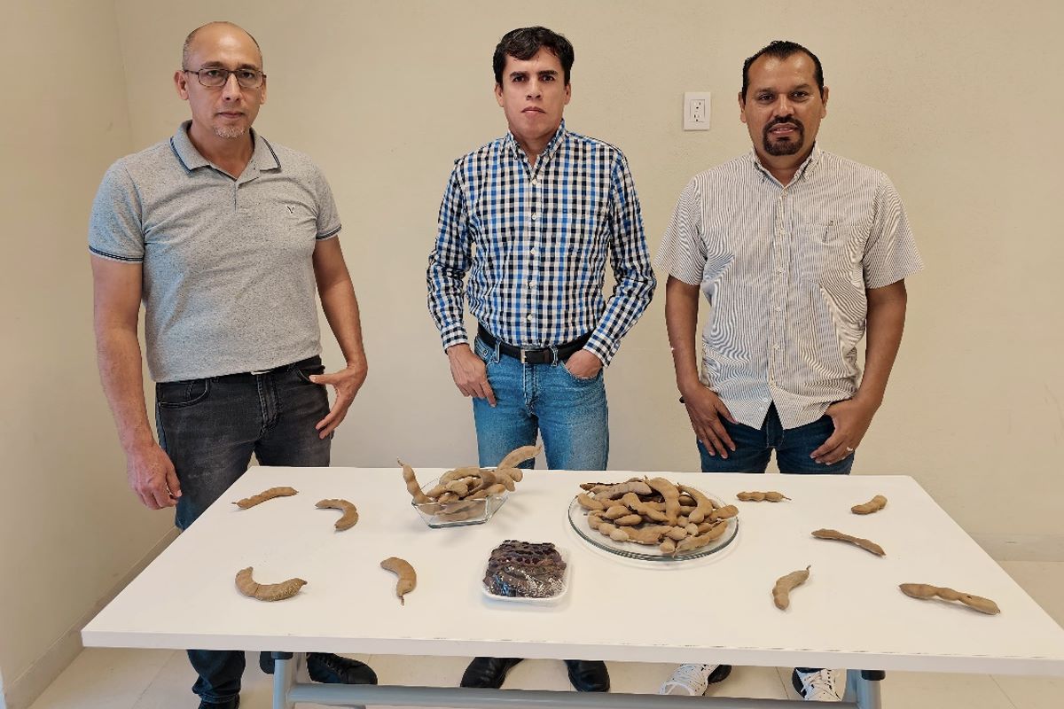 10 Cultivadores Tamarindo