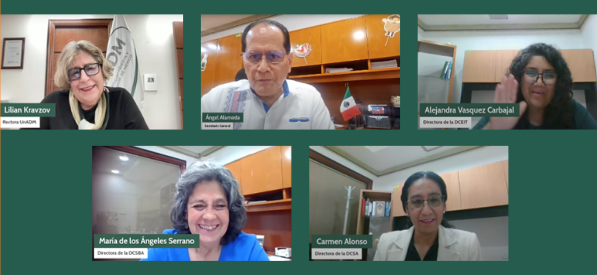 todo sobre los proyectos terminales intro