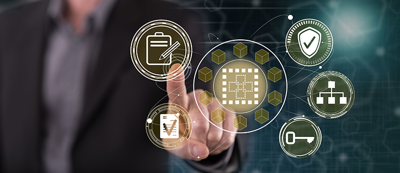 Proyectos Terminales Repositorio AdobeStock